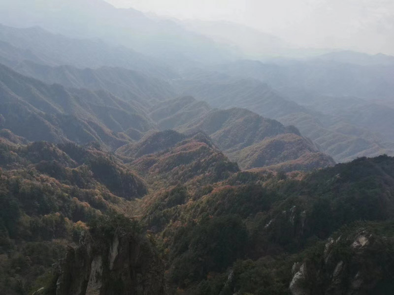 深圳律師團(tuán)隊(duì)為您講解不服用人單位擅自調(diào)動(dòng)崗位找那個(gè)部門