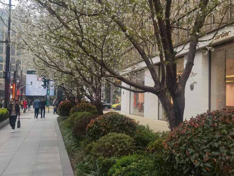 勞動者未事先告知用人單位能否直接申請仲裁？深圳法律咨詢網來回答