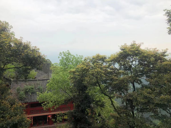 別人能否代理無行為能力人提出離婚訴訟？深圳婚姻訴訟律師來講講